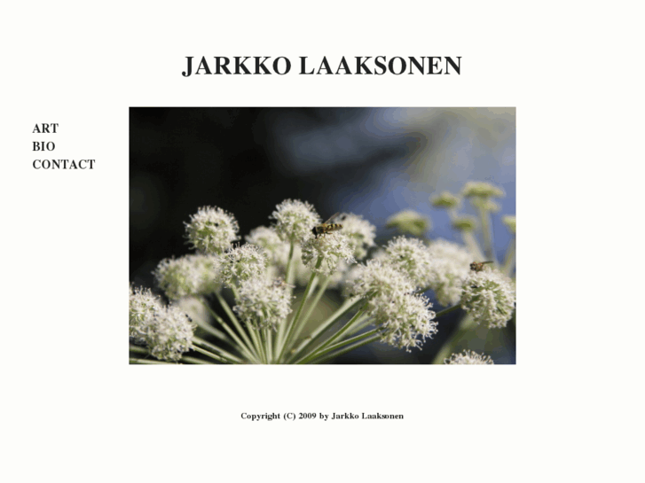 www.jarkkolaaksonen.com