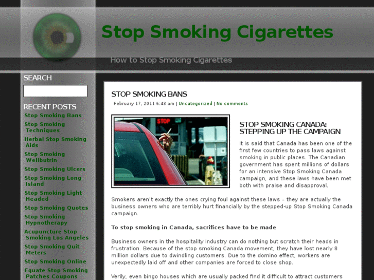 www.stopsmokingcigarettes101.com