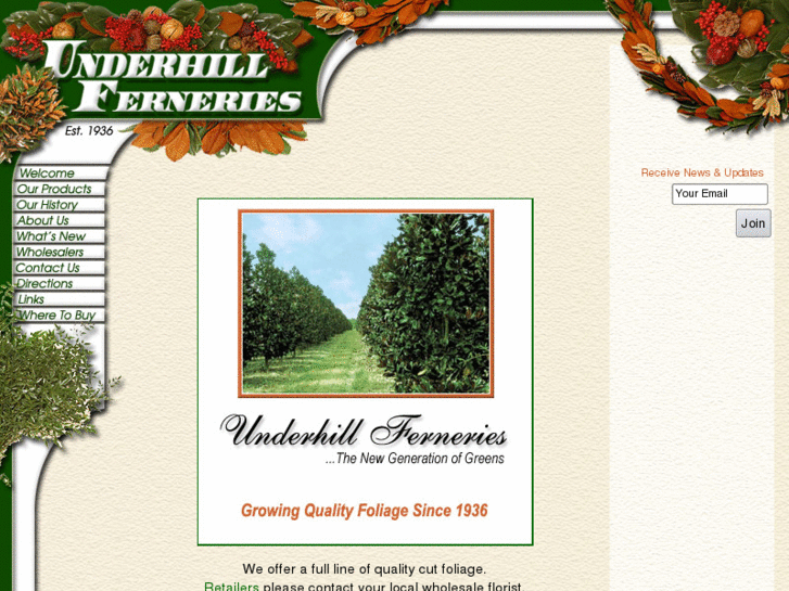 www.underhillferneries.com