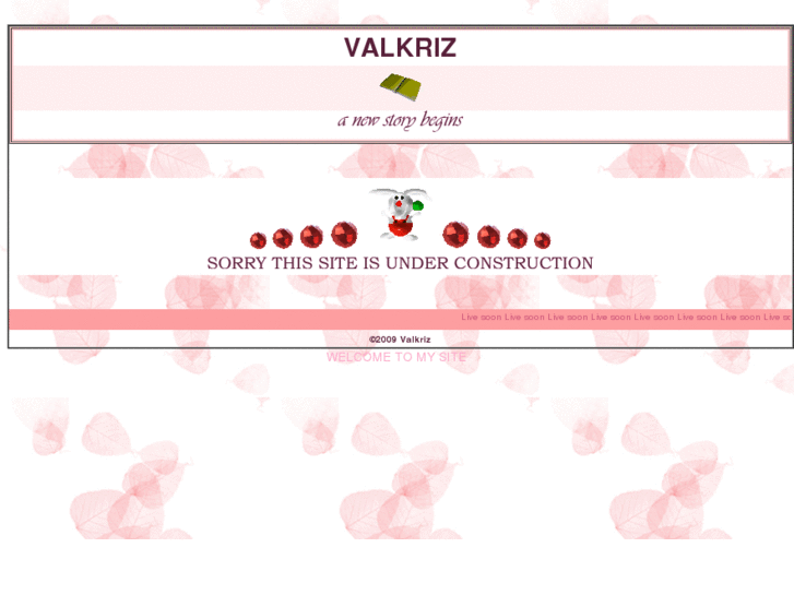 www.valkriz.com