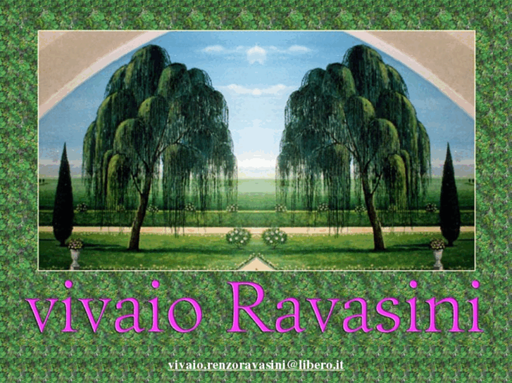 www.vivaioravasinifioriepiante.com