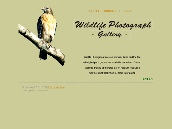 www.wildlifephotograph.com