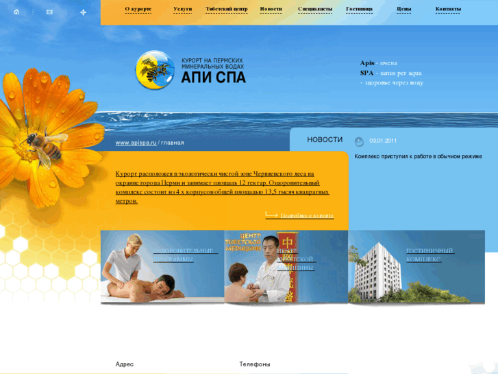 www.apispa.ru