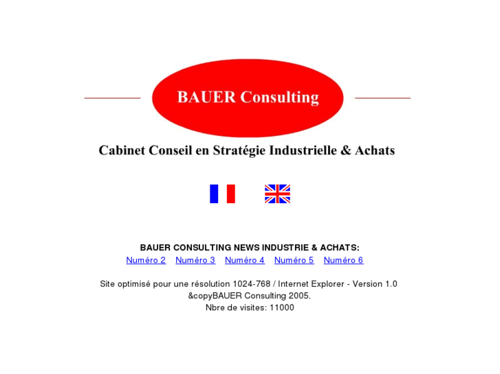 www.bauer-consulting.org