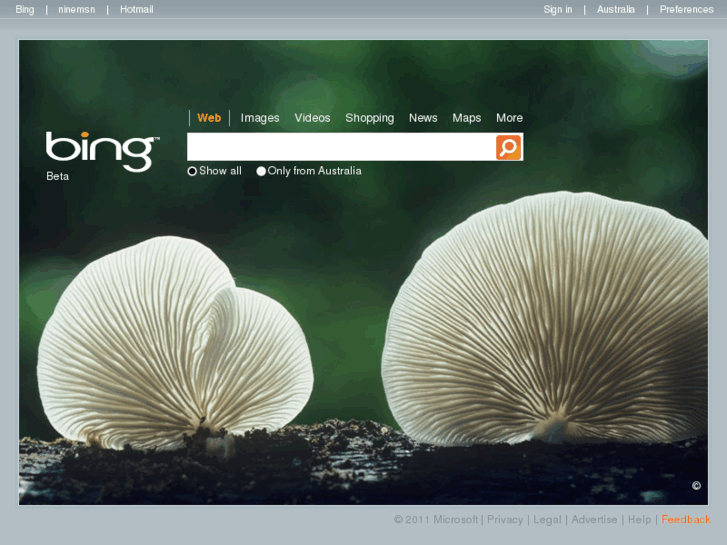 www.bing.com.au
