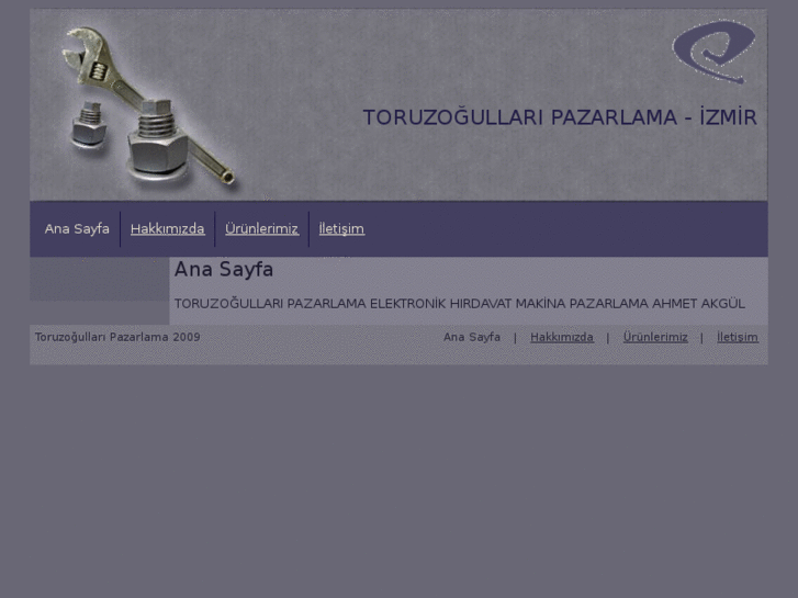 www.toruzogullaripazarlama.com