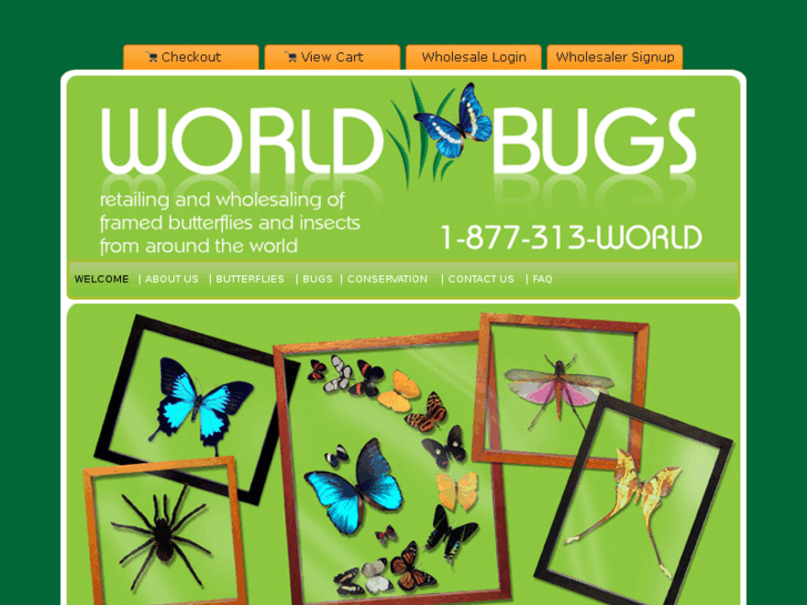 www.worldbugs.com