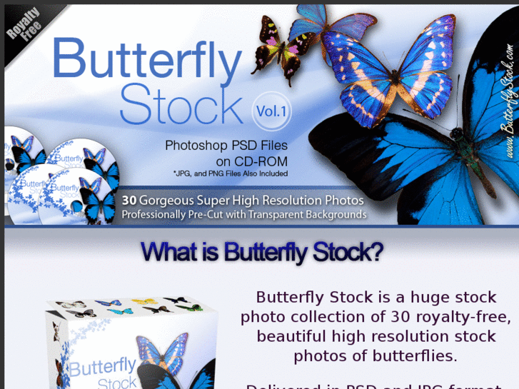 www.butterflyclipart.net