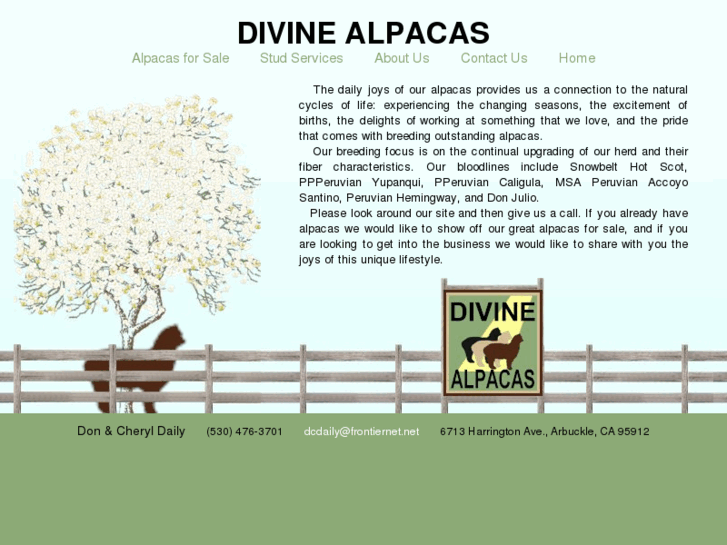 www.divinealpacas.com