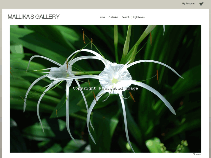 www.mallikagallery.com