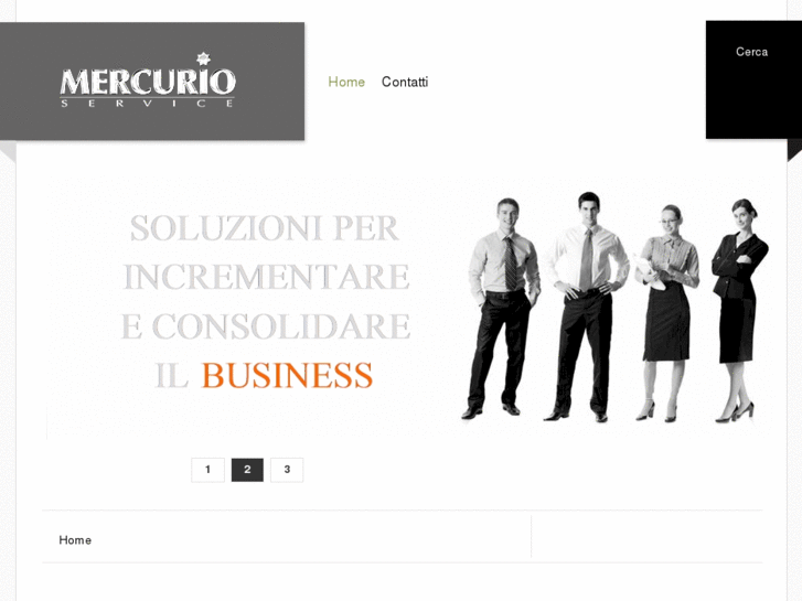 www.mercurioservice.net