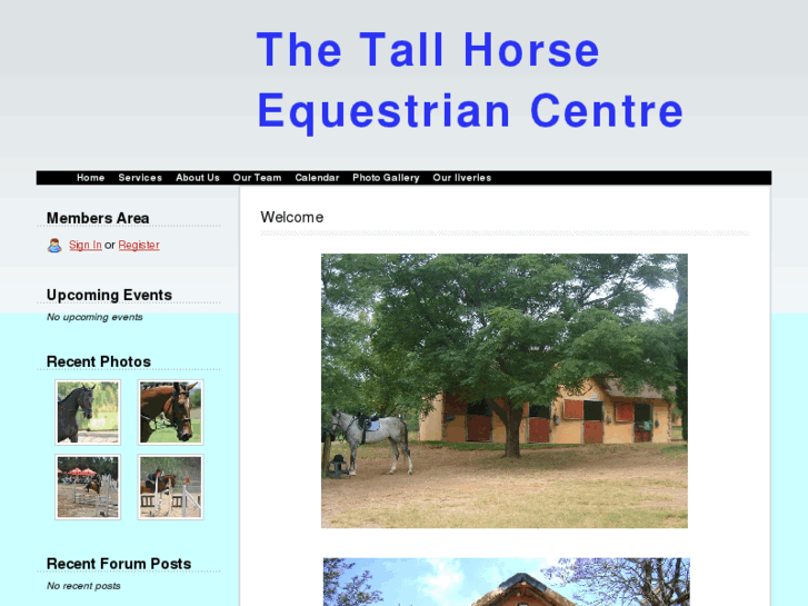 www.thetallhorse.com