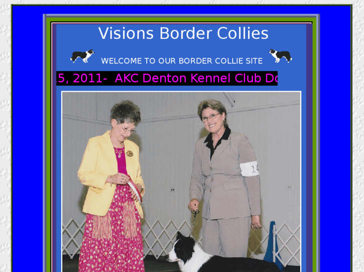 www.visionsbordercollies.com