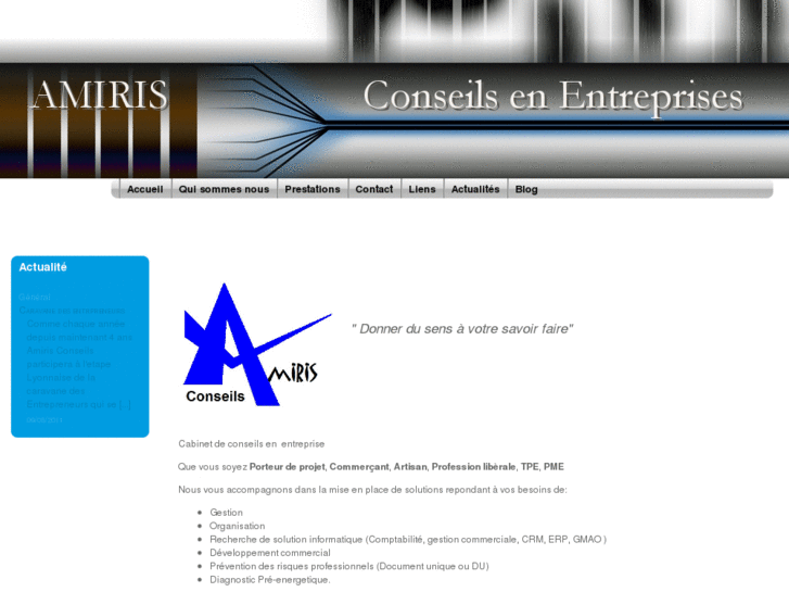 www.amiris-conseil.com