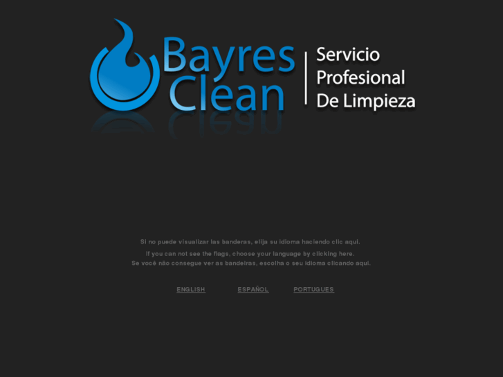 www.bayresclean.com.ar