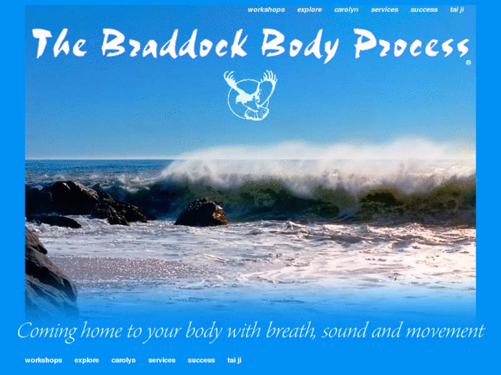 www.braddock-body-process.com