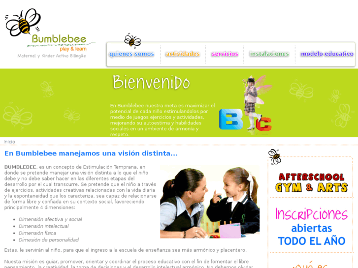 www.bumblebeepuebla.com