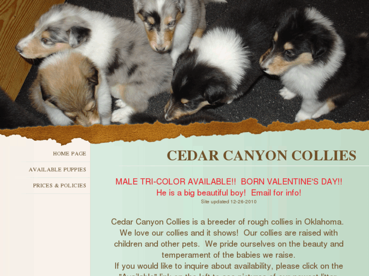 www.cedarcanyoncollies.com