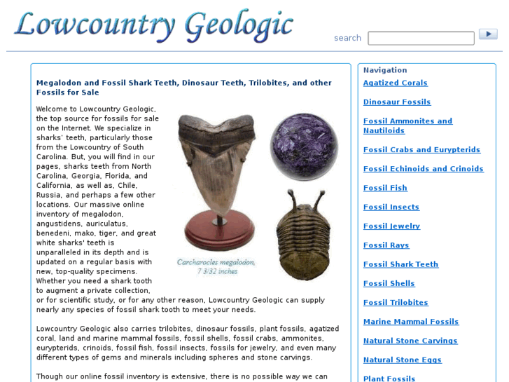 www.lowcountrygeologic.com