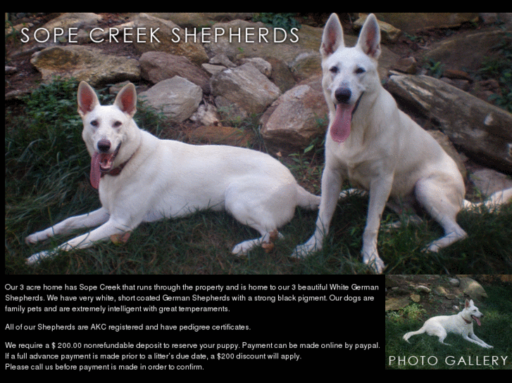 www.sopecreekshepherds.com