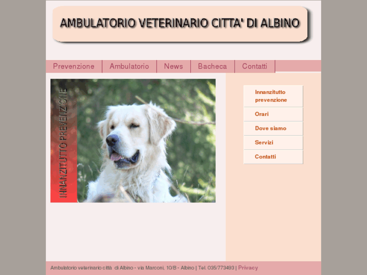 www.veterinarialbino.com