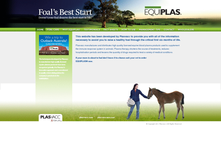 www.foalsbeststart.com