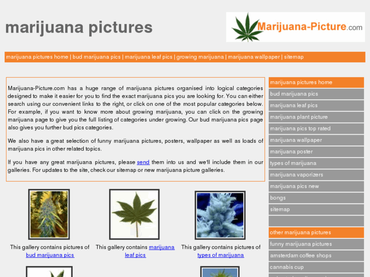 www.marijuana-picture.com