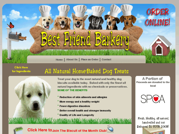 www.bestfriendbarkery.com