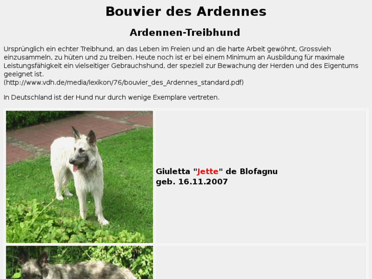 www.bouvier-des-ardennes.com