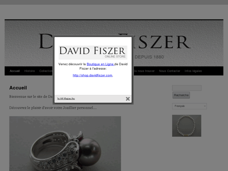 www.davidfiszer.com