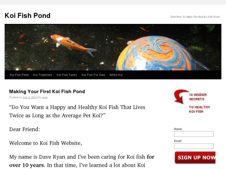 www.koi-fish-care.com