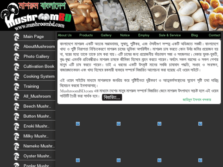 www.mushroombd.com