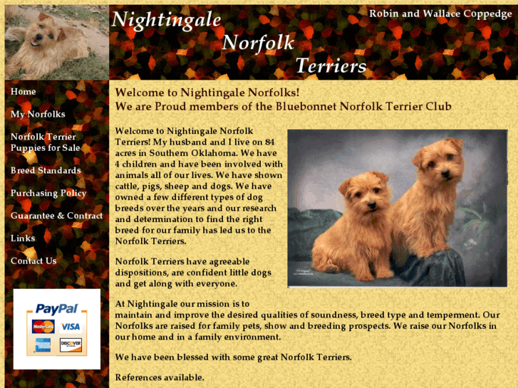 www.nightingalenorfolkterriers.com