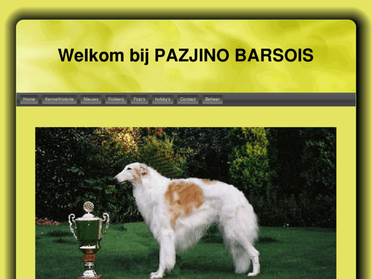 www.pazjinobarsois.nl