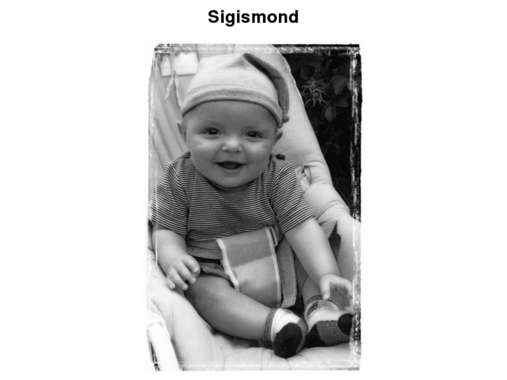 www.sigismond.org