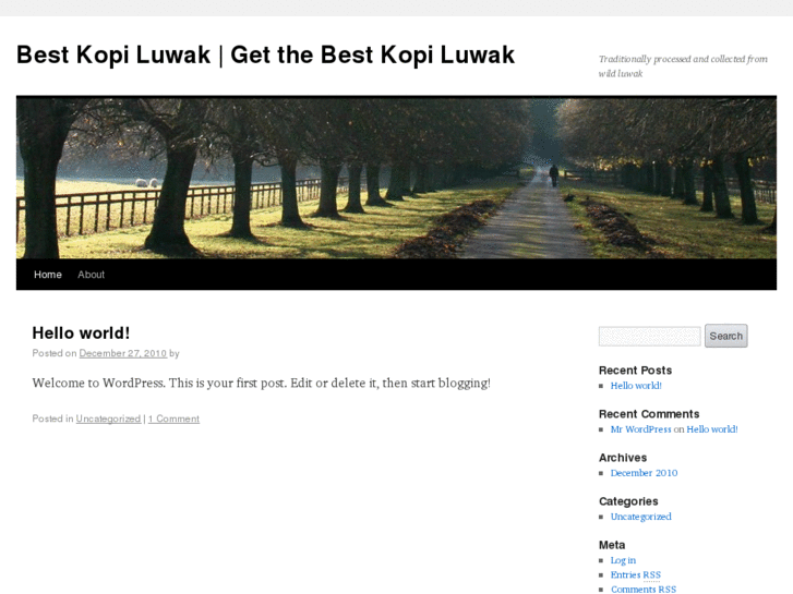 www.bestkopiluwak.com