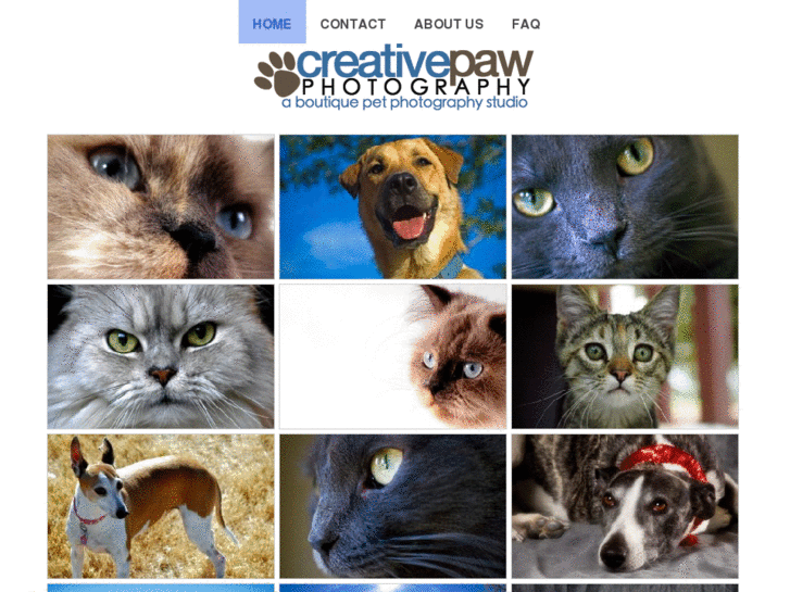 www.creativepawstudio.com