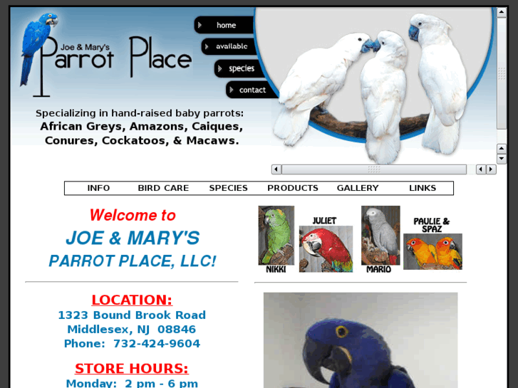 www.jmparrotplace.com