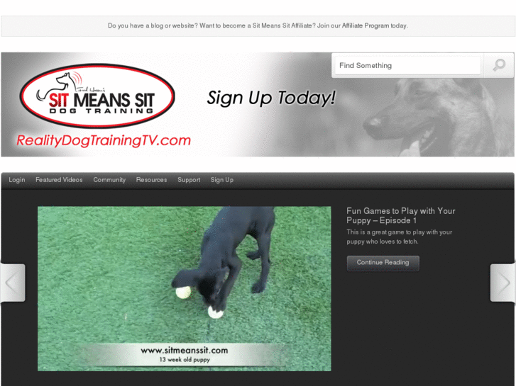 www.realitydogtrainingtv.com