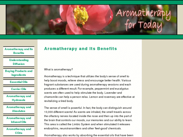 www.aromatherapyfortoday.com