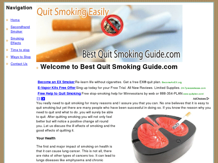 www.bestquitsmokingguide.com