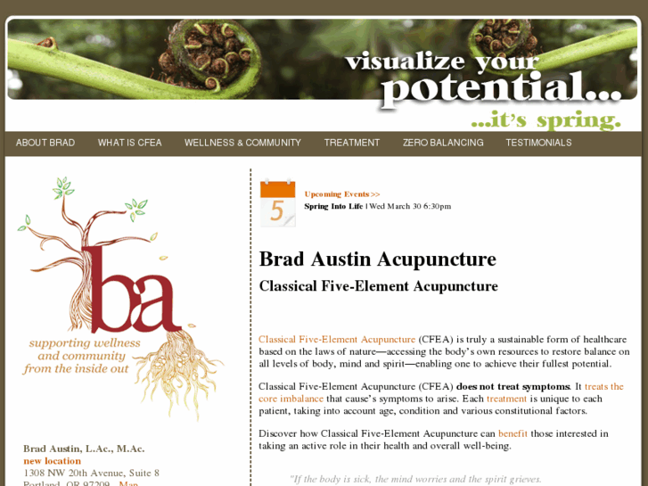 www.bradaustinacupuncture.com