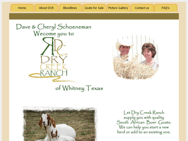 www.drycreekranchoftexas.com