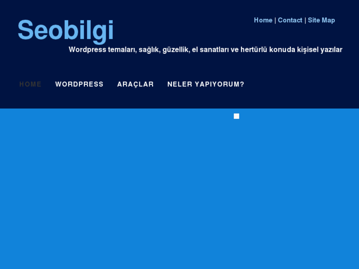 www.seobilgi.com