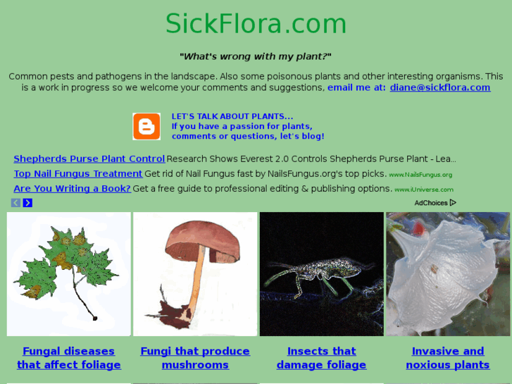 www.sickflora.com