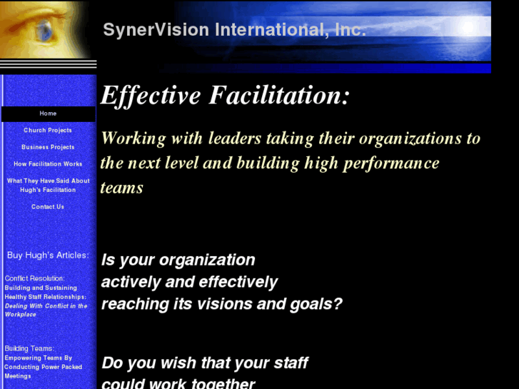 www.synervisioninternational.com