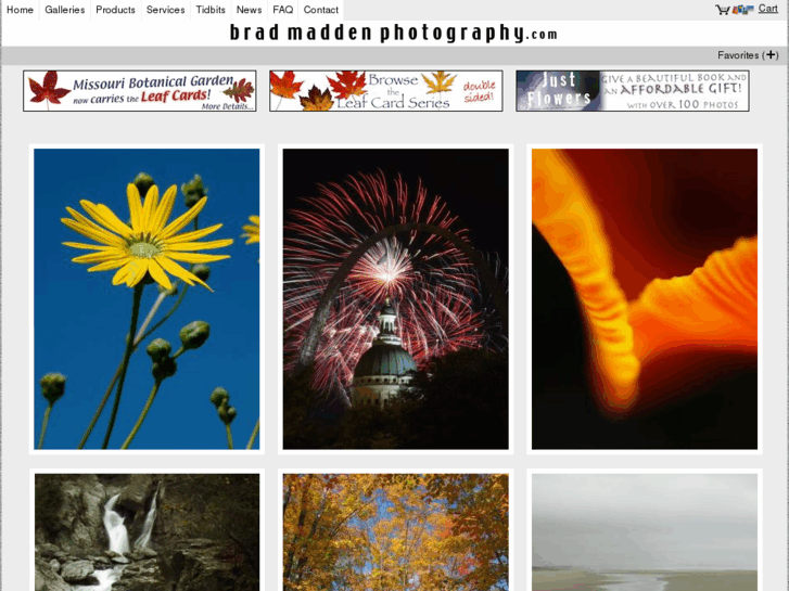 www.bradmaddenphotography.com