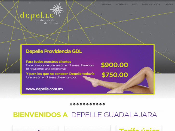 www.depellegdl.com