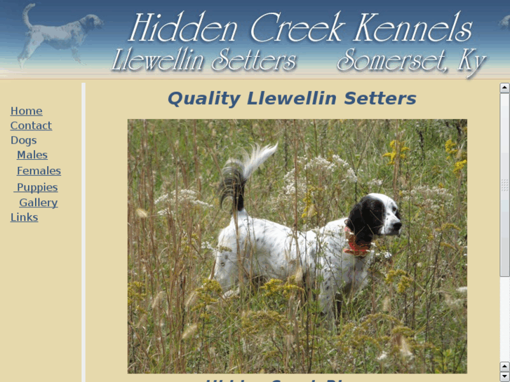 www.hiddencreekkennel.com