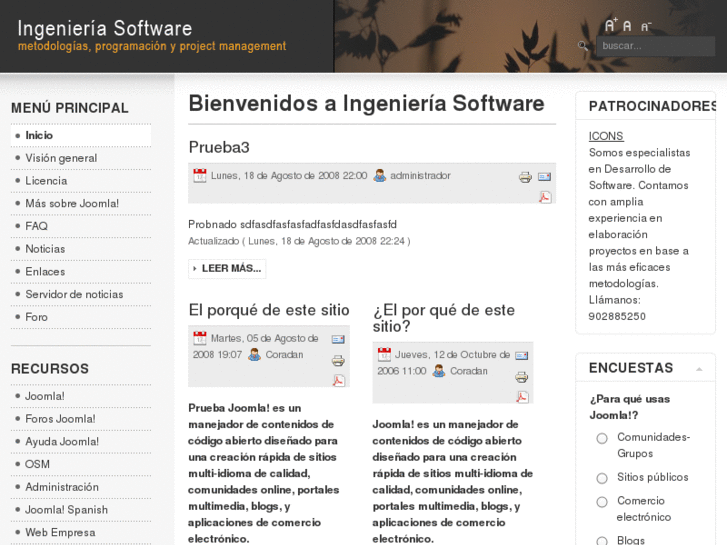 www.ingenieriasoftware.org